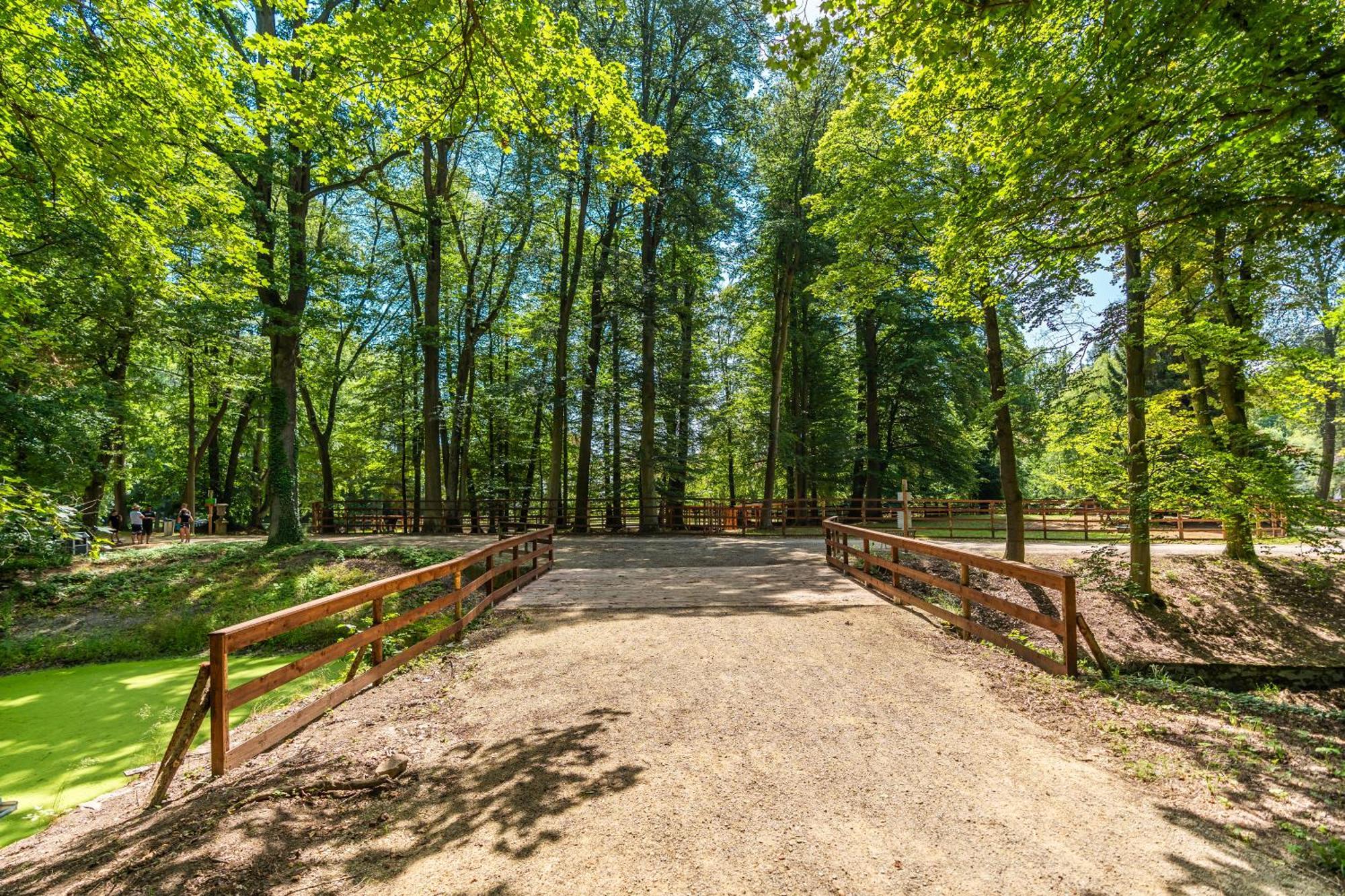 Zamek D'Este Chlum u Trebone Exteriér fotografie